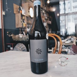 2023 安朵芙酒莊 安妮娜 混釀橘酒</br>Weingut Martin & Anna Arndorfer Anina Verde