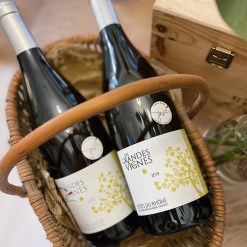 2019 愛斯地酒莊隆河丘老藤白酒