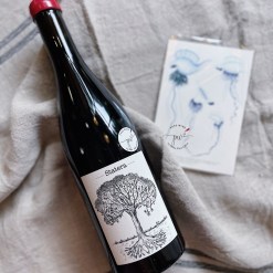 2019 貝爾維酒莊黑皮諾紅酒