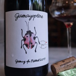 2019 安東林恩哈特 布根地人丘 加美瓢蟲 紅酒