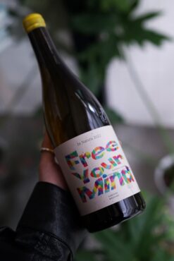 2022 SCHÖDL 放輕鬆白酒