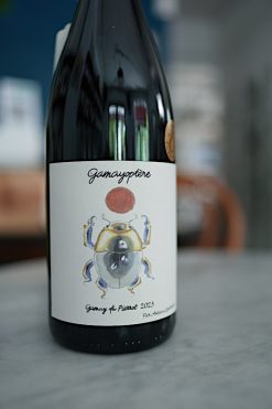 2023 安東林恩哈特 布根地丘 加美昆蟲 紅酒<br/>Domaine Antoine Lienhardt Coteaux Bourguignons "Gamayoptère" Rouge